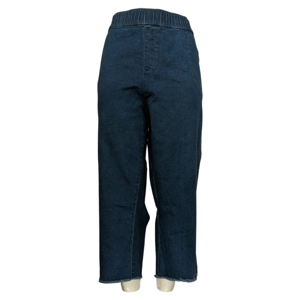 Quacker Factory Women's Plus Sz Shorts 2X Short Straight Leg Frayed Blue A600373